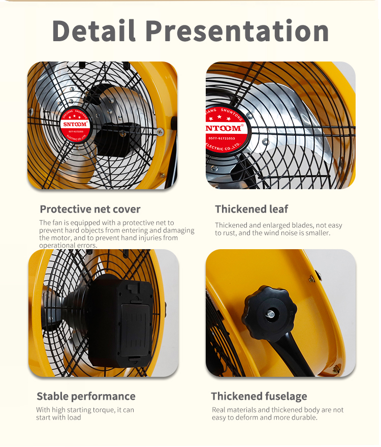 Tr&igrave;nh b&agrave;y chi tiết 