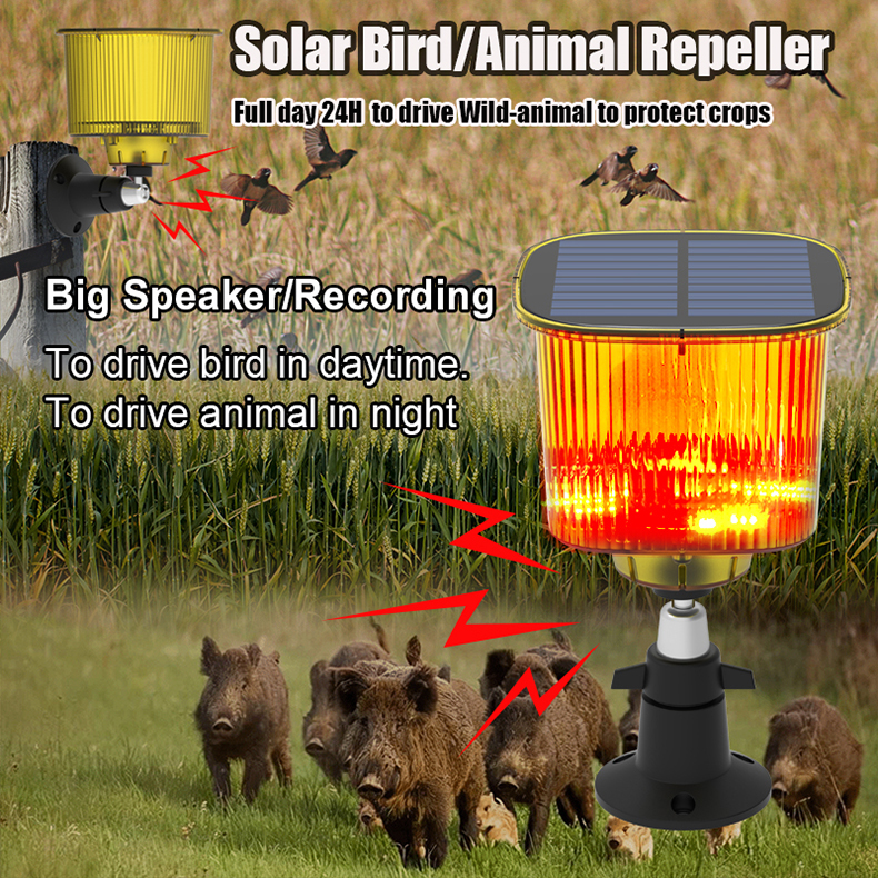 M&aacute;y biến &aacute;p điện lưới