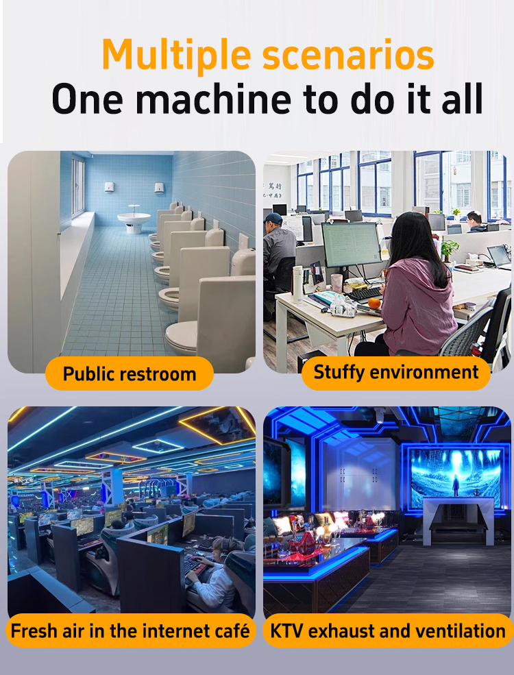 100H Đường ch&eacute;o D&ograve;ng chảy đường 